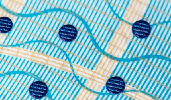 Intaglio_zoom-ECHO-specimen_09 1.png